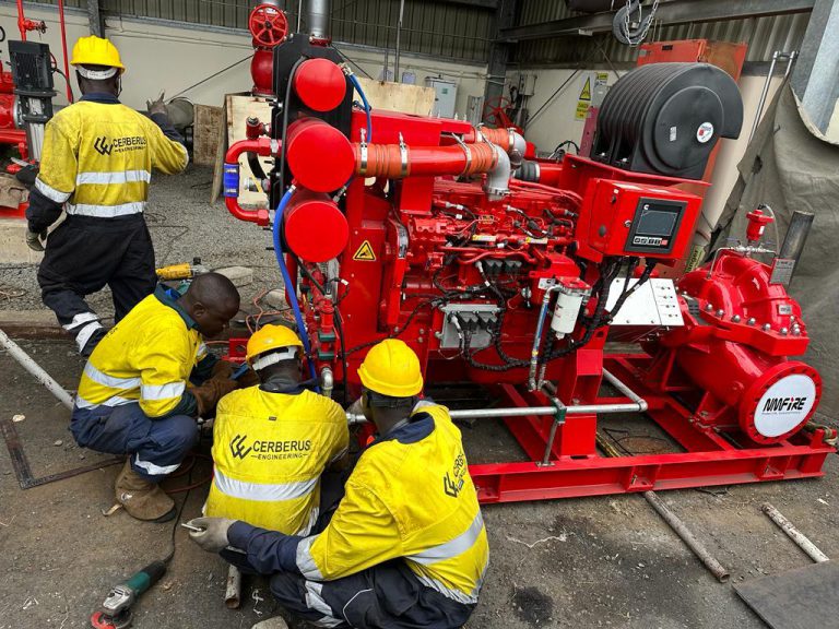 Cerberus Engineering Kenya at Work